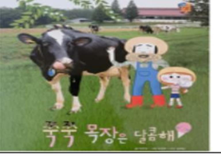 화요반 웅진북클럽 이미지