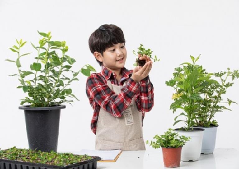키즈 플라워 파리지옥 식충식물 +보호자 이미지