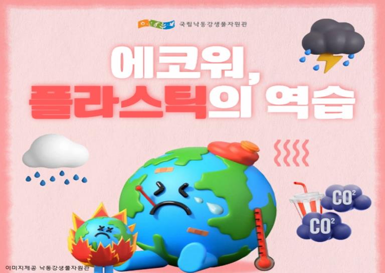 찾아오는 낙동강 생물 자원관|탄소제로 교실 지구 비누 만들기 A (A+B 패키지 수강) 이미지