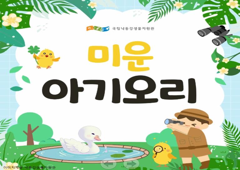 찾아오는 낙동강 생물 자원관|생태계 심포니 조류 박제 관찰 B (A+B 패키지 수강) 이미지