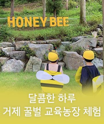 24년 여름 꿀벌 농장