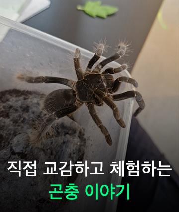 곤충이야기