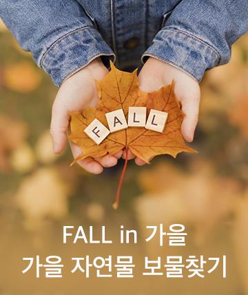 가을 자연물 보물찾기