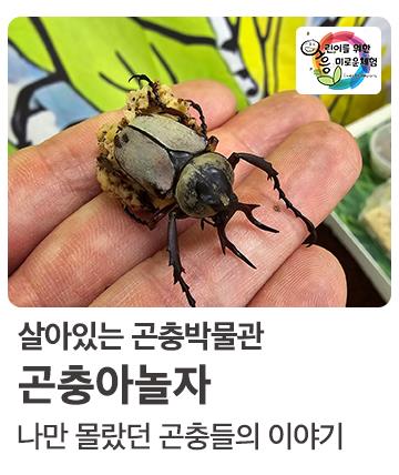 곤충아 놀자