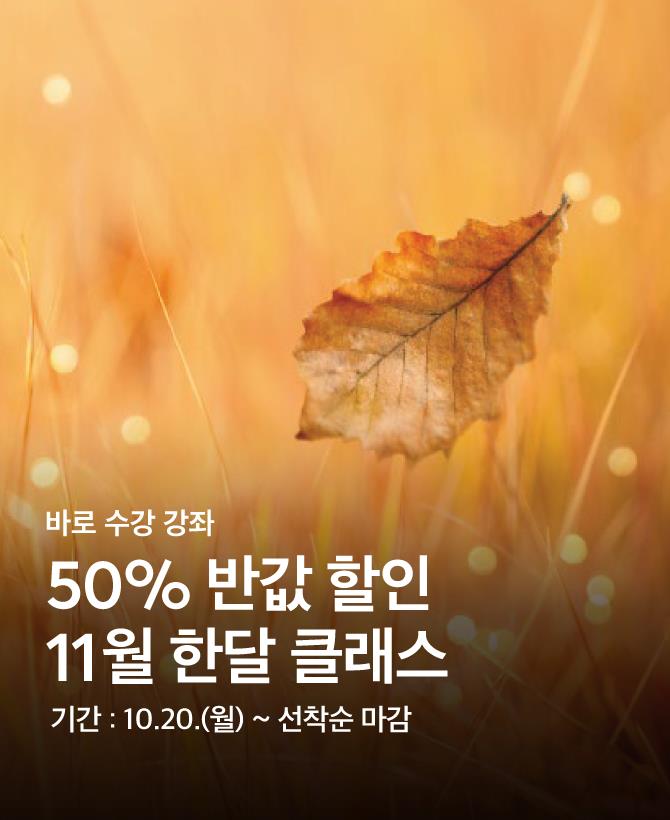 11월강좌, 반값강좌