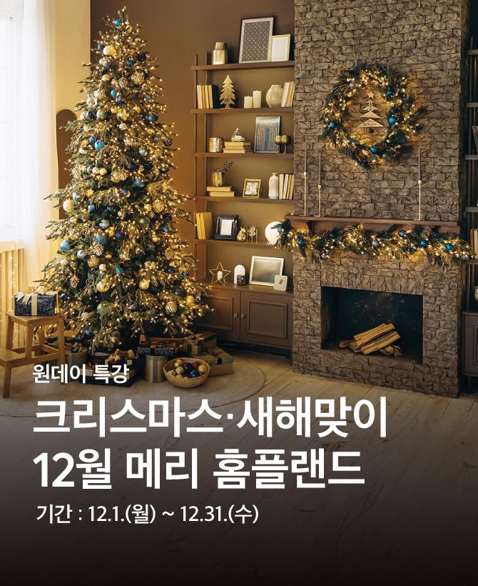 겨울 메리 홈플랜드