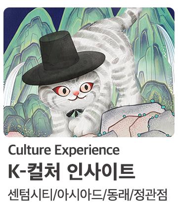 K컬쳐 인사이트